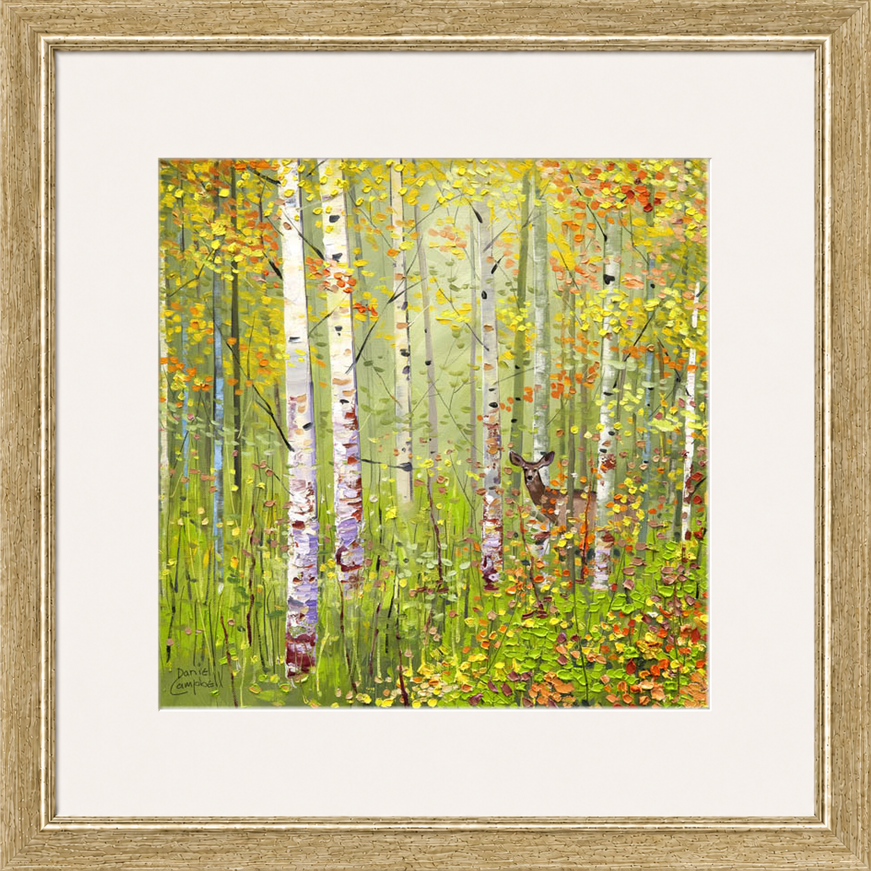 Silver Birches in Spring by Daniel Campbell framed wall art print showing silver birch trees in fresh spring greens and soft woodland colours