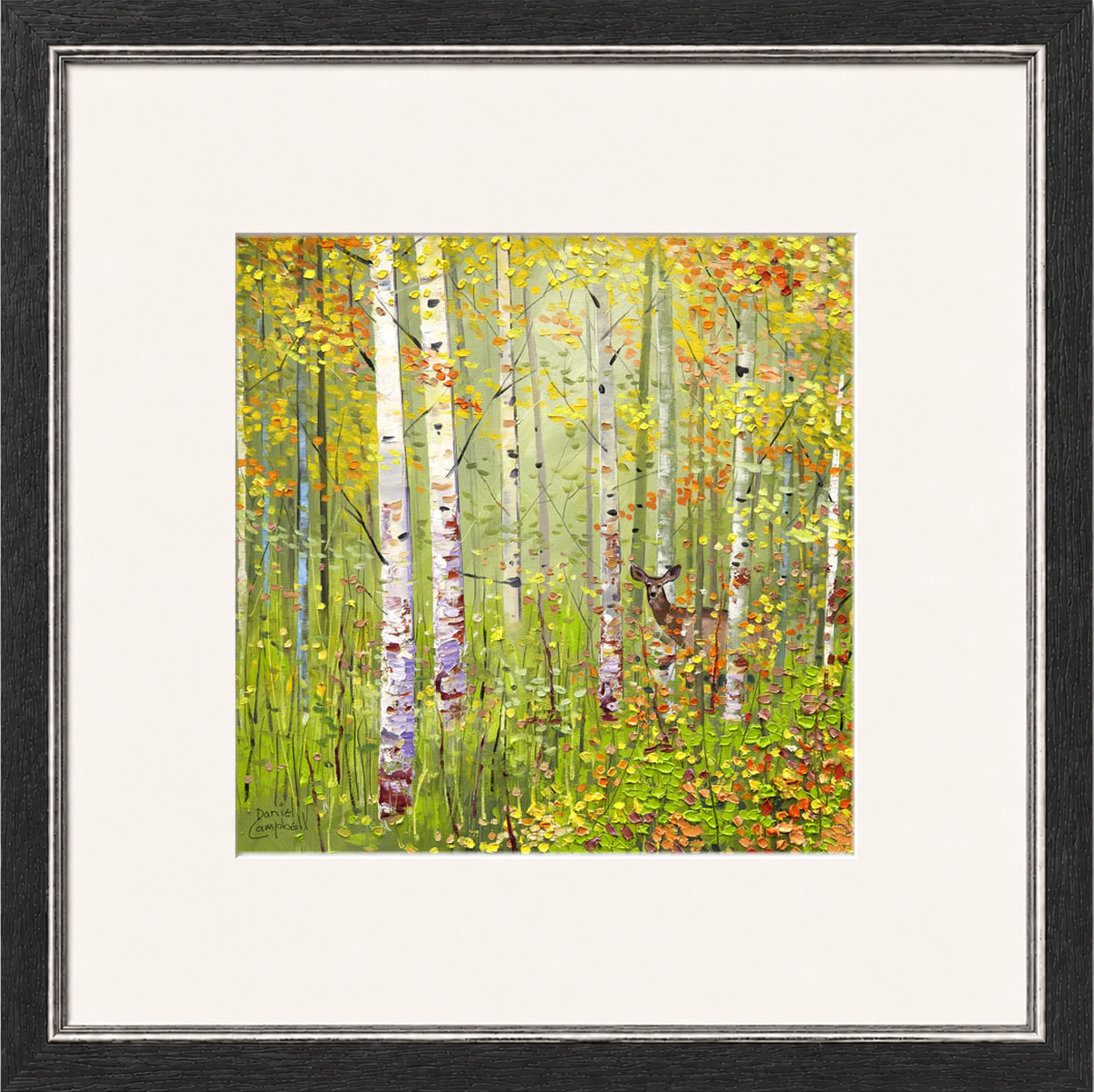 Silver Birches in Spring by Daniel Campbell framed wall art print showing silver birch trees in fresh spring greens and soft woodland colours