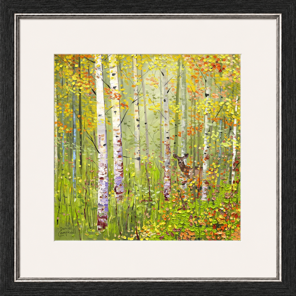 Silver Birches in Spring by Daniel Campbell framed wall art print showing silver birch trees in fresh spring greens and soft woodland colours