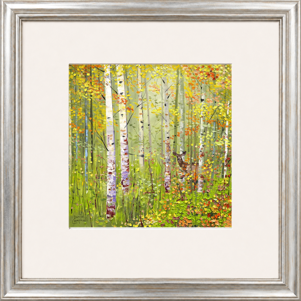 Silver Birches in Spring by Daniel Campbell framed wall art print showing silver birch trees in fresh spring greens and soft woodland colours
