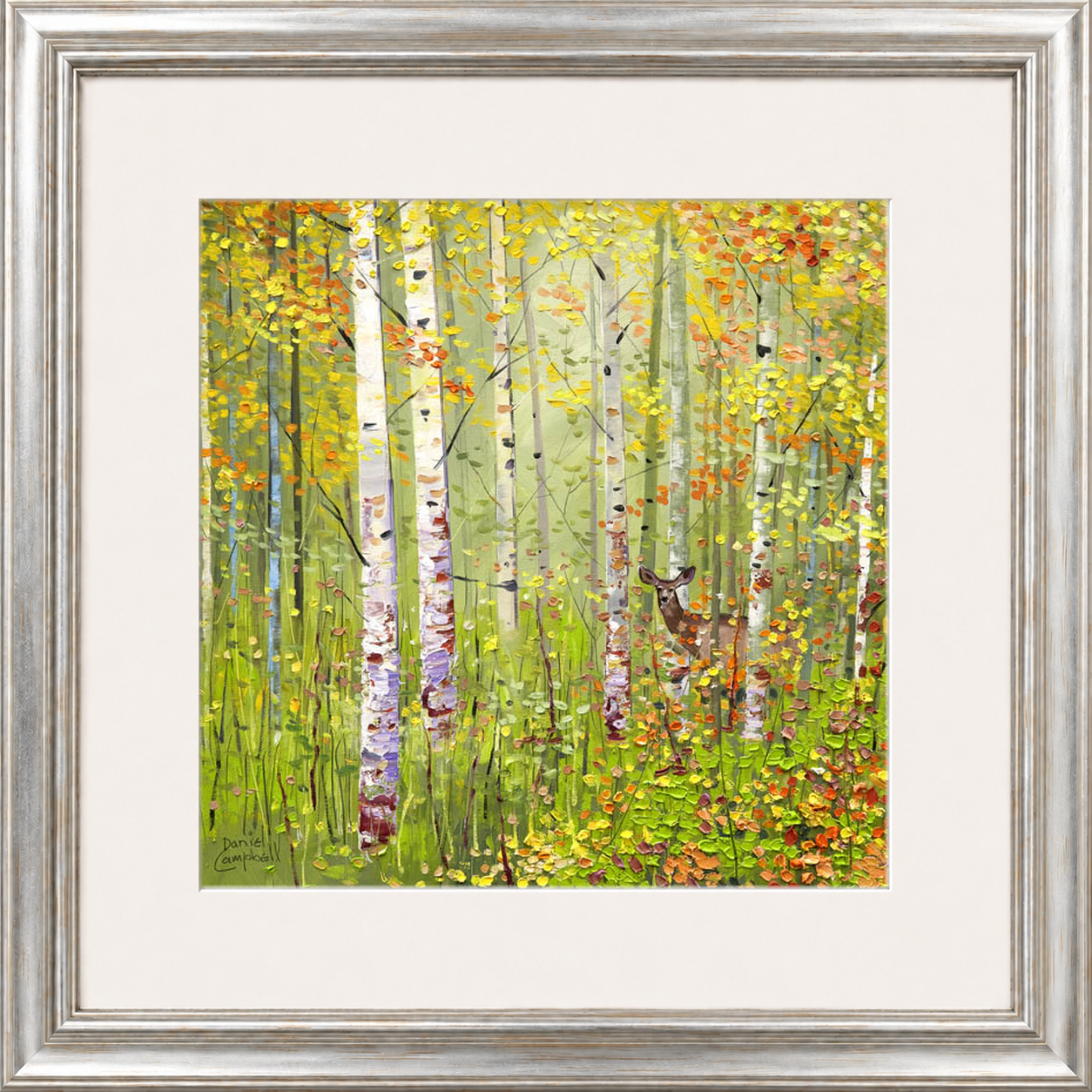 Silver Birches in Spring by Daniel Campbell framed wall art print showing silver birch trees in fresh spring greens and soft woodland colours