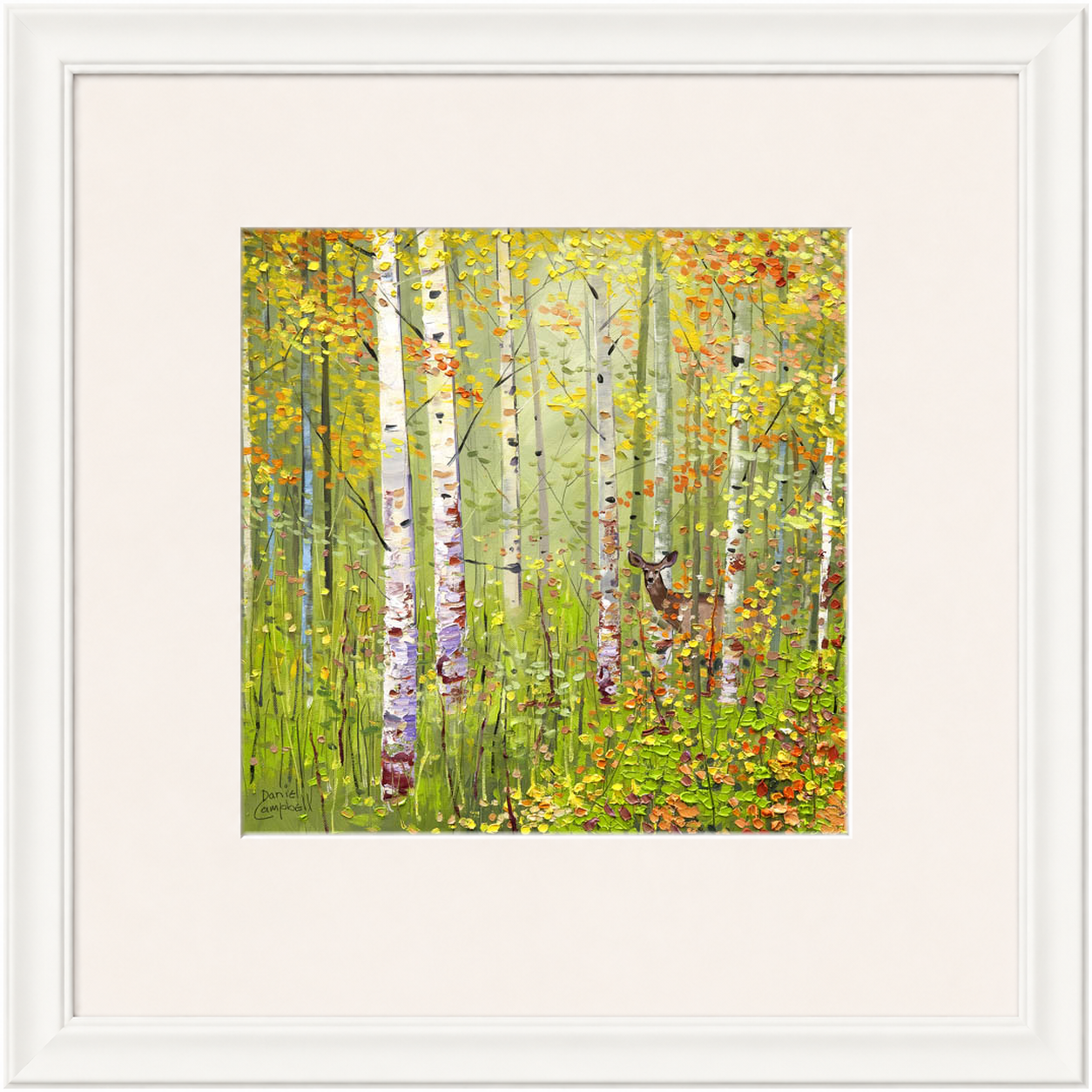 Silver Birches in Spring by Daniel Campbell framed wall art print showing silver birch trees in fresh spring greens and soft woodland colours