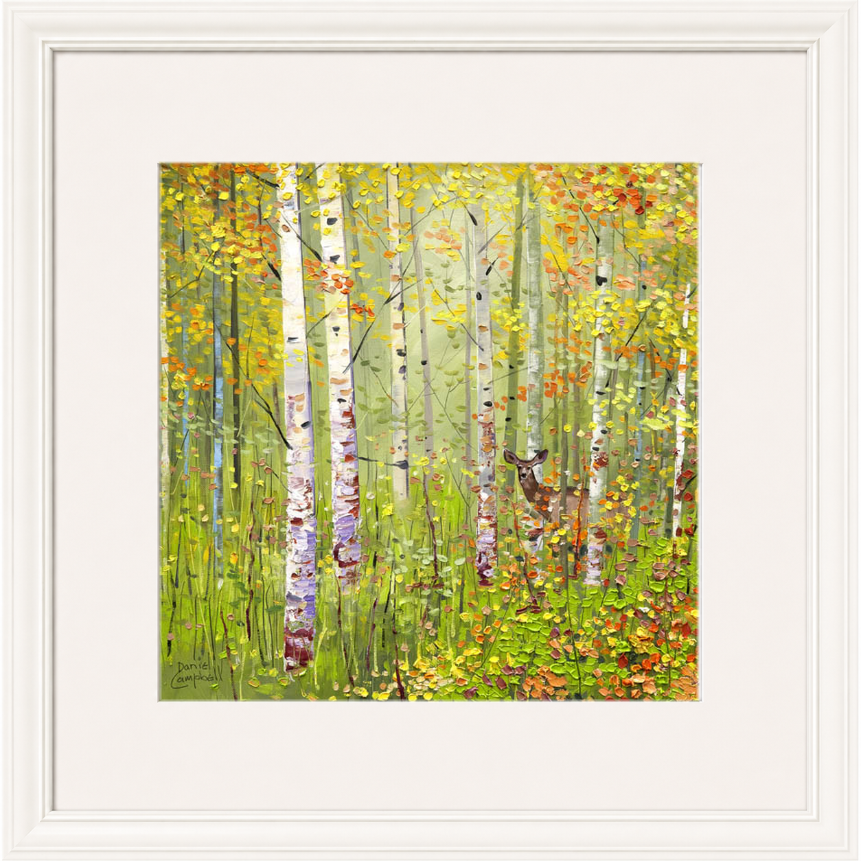 Silver Birches in Spring by Daniel Campbell framed wall art print showing silver birch trees in fresh spring greens and soft woodland colours