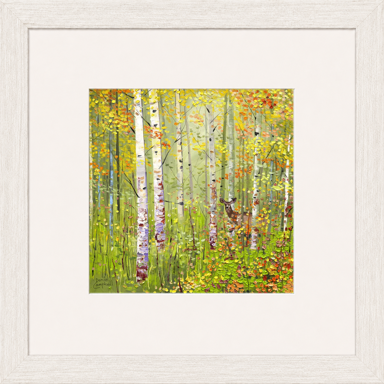 Silver Birches in Spring by Daniel Campbell framed wall art print showing silver birch trees in fresh spring greens and soft woodland colours