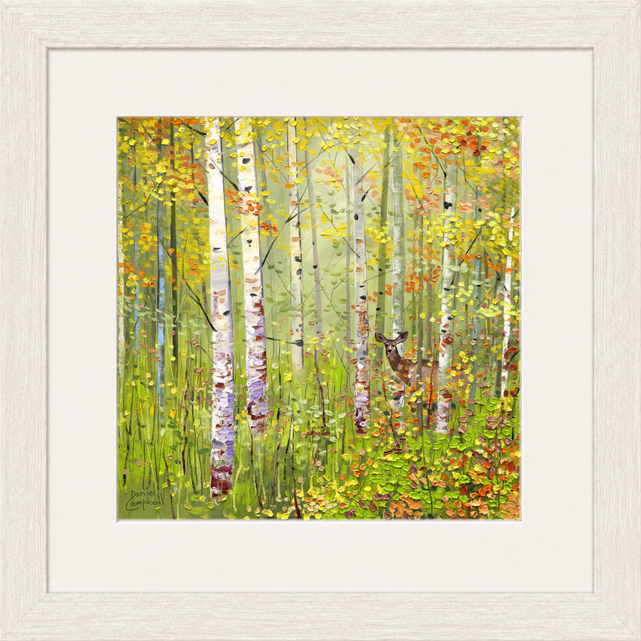 Silver Birches in Spring by Daniel Campbell framed wall art print showing silver birch trees in fresh spring greens and soft woodland colours