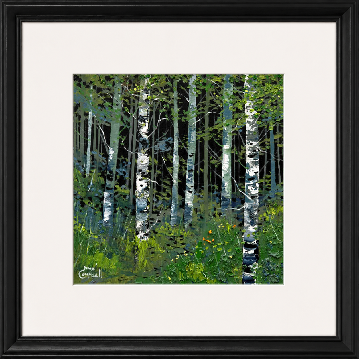 Silver Birches in Summer by Daniel Campbell
