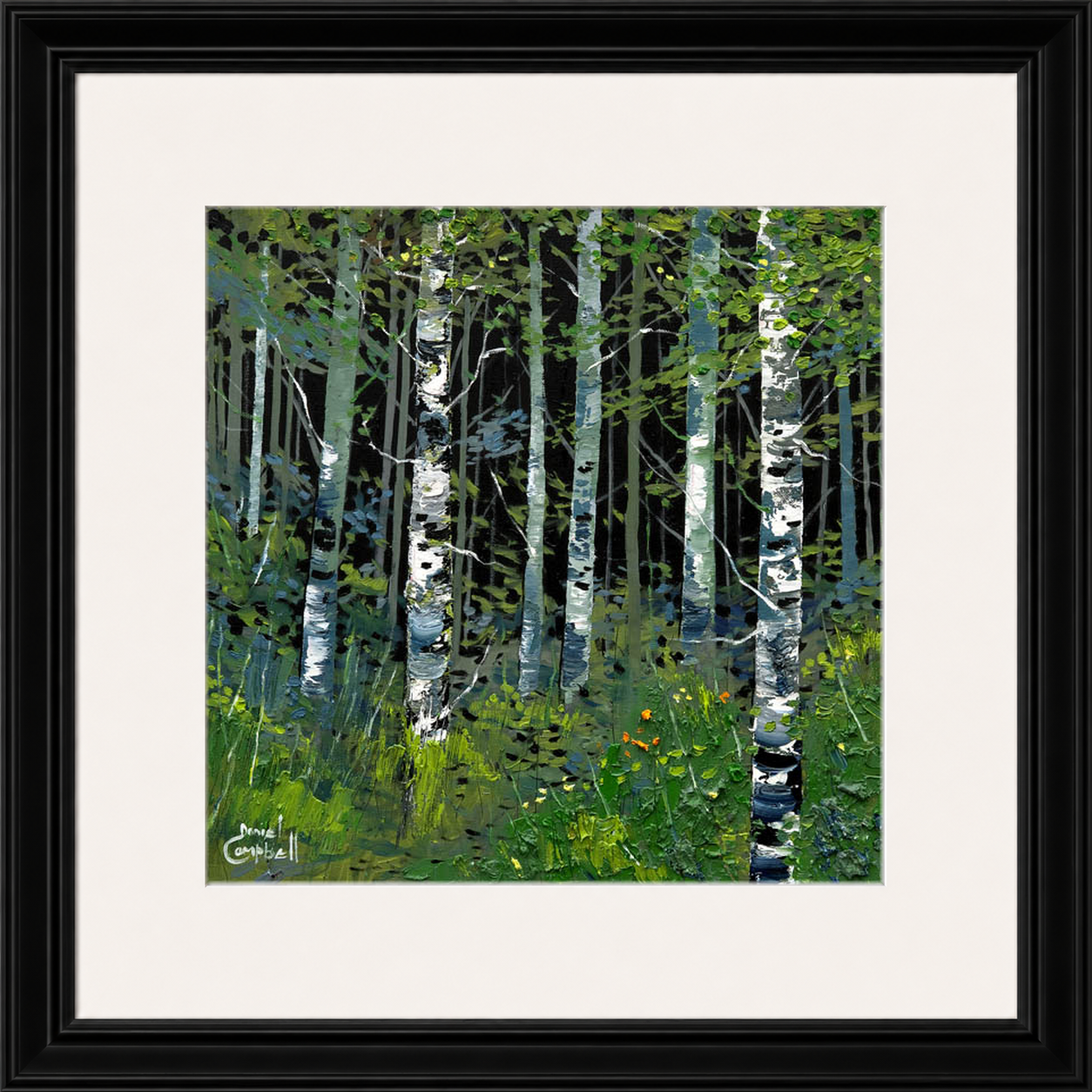 Silver Birches in Summer by Daniel Campbell