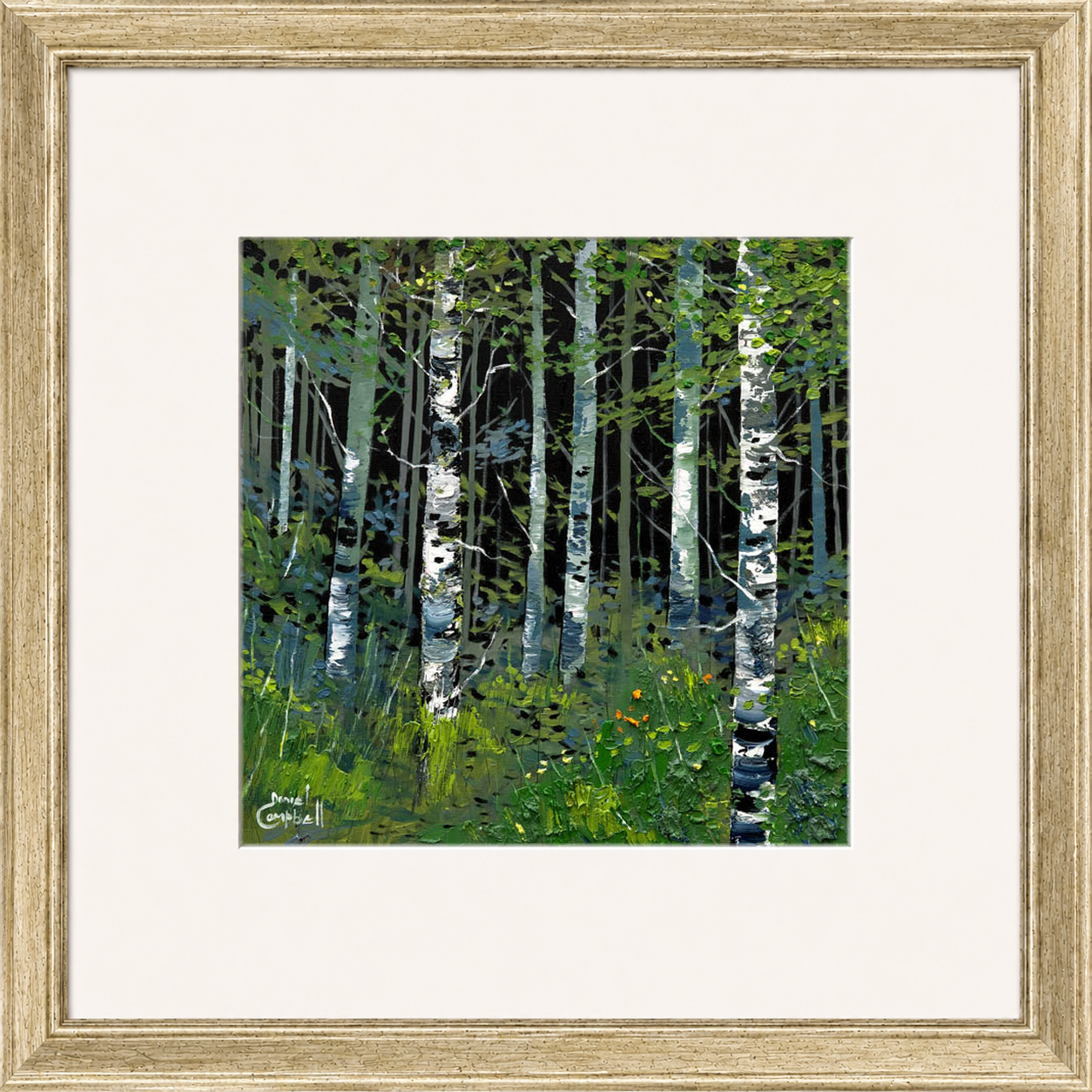 Silver Birches in Summer by Daniel Campbell