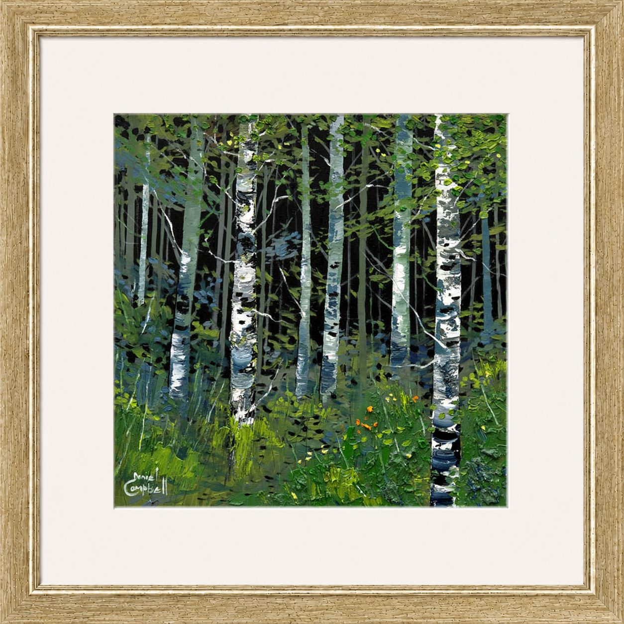 Silver Birches in Summer by Daniel Campbell