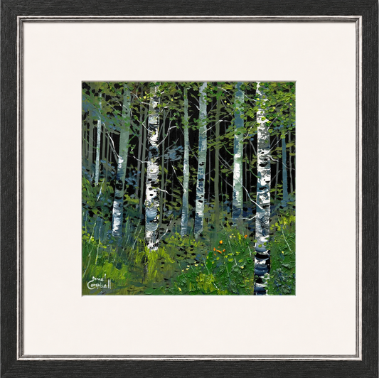 Silver Birches in Summer by Daniel Campbell framed wall art print showing silver birch trees surrounded by fresh summer greenery