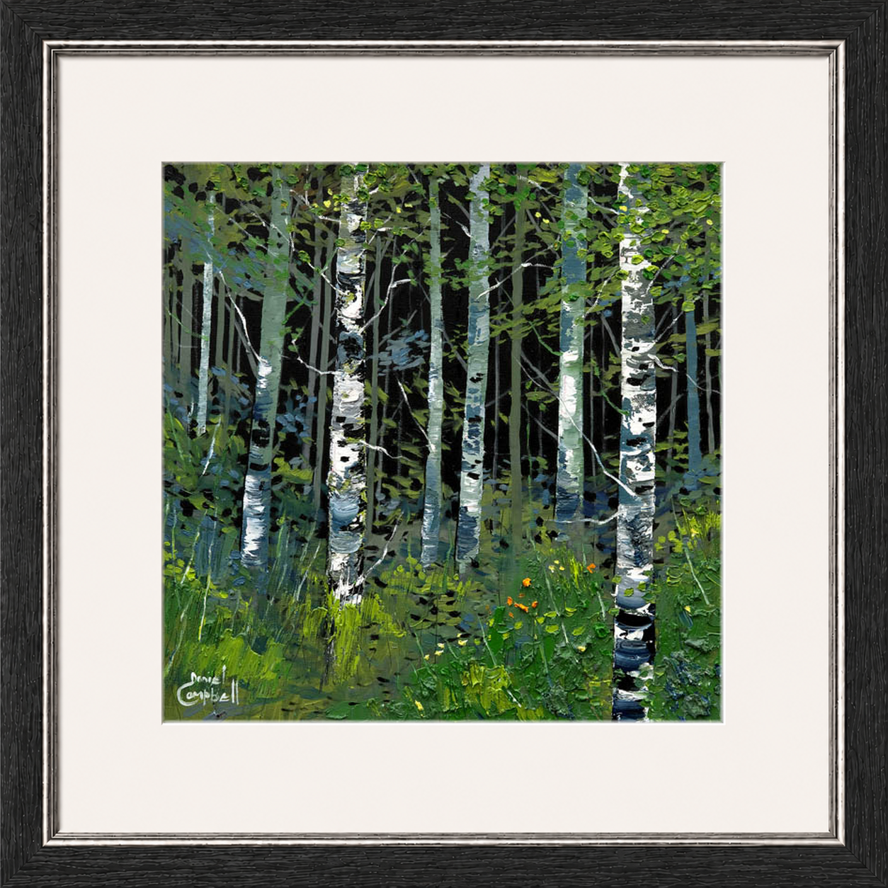 Silver Birches in Summer by Daniel Campbell