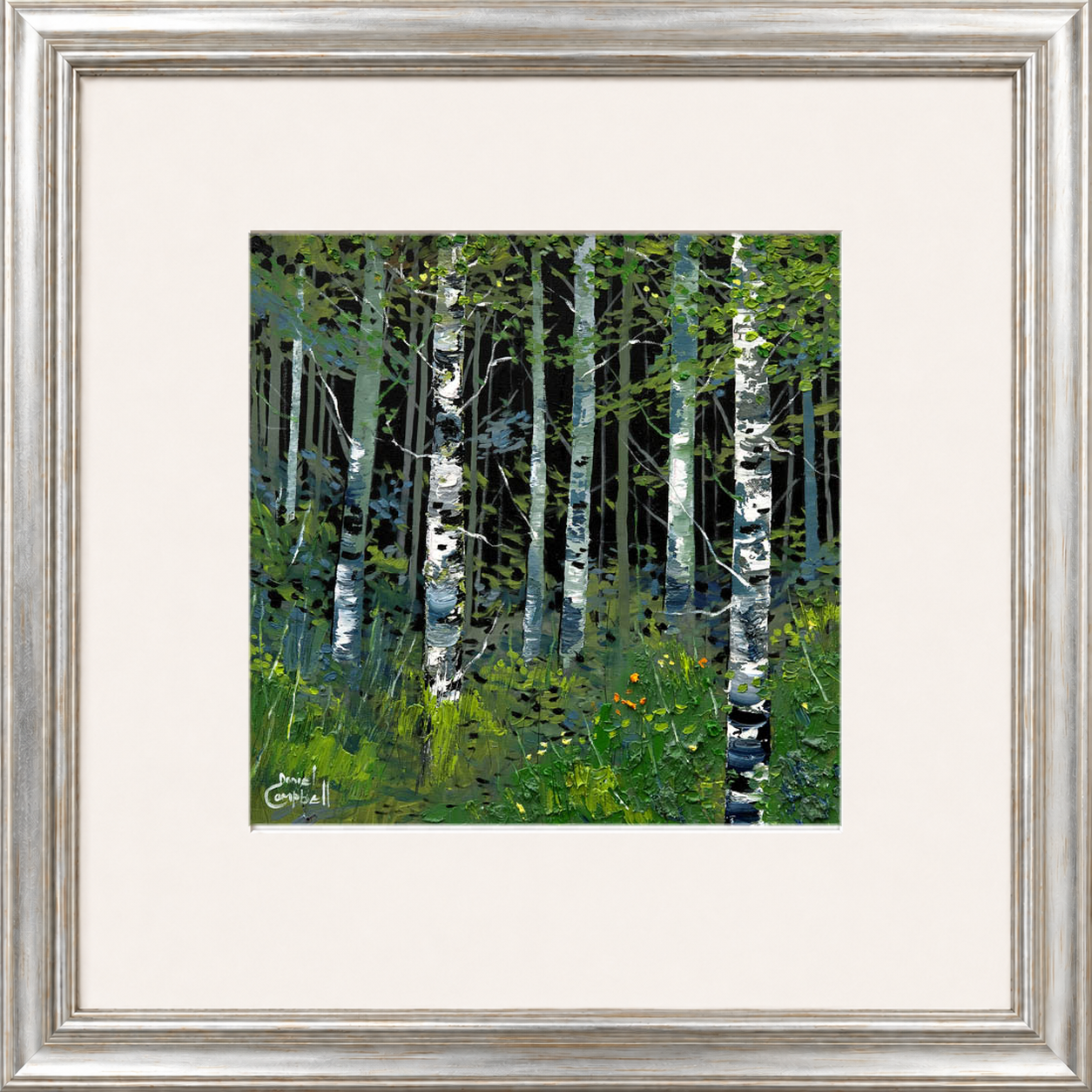 Silver Birches in Summer by Daniel Campbell
