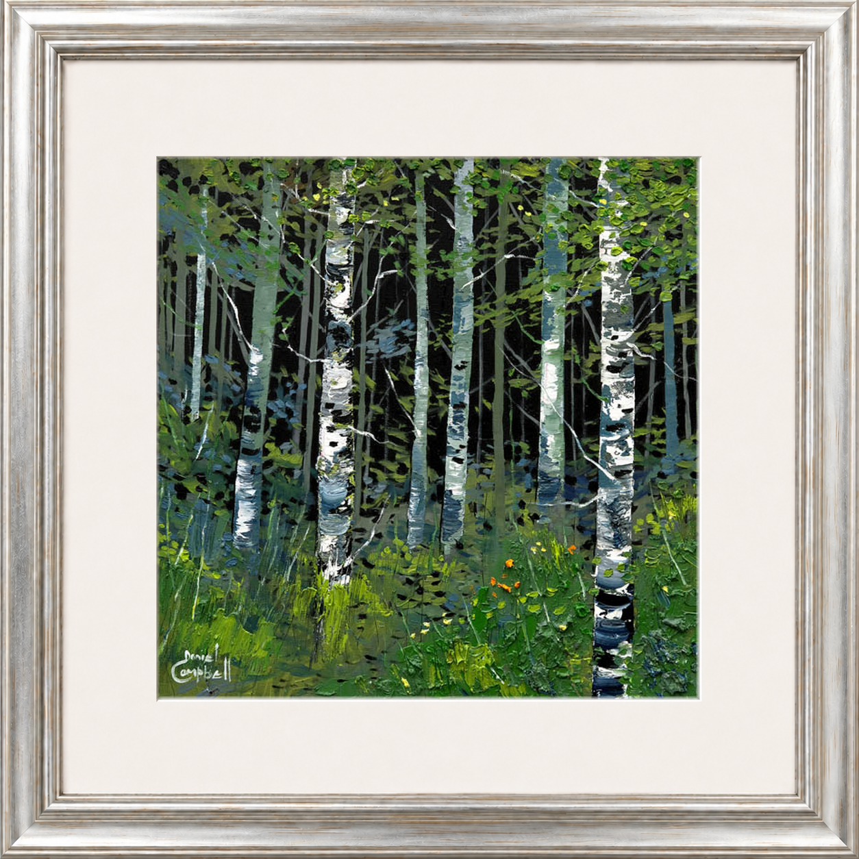 Silver Birches in Summer by Daniel Campbell