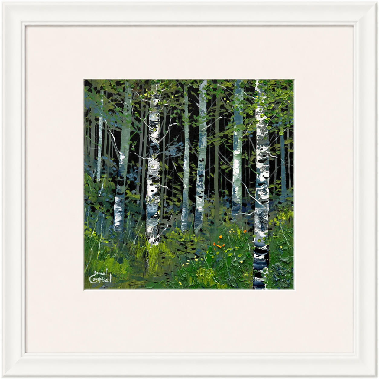 Silver Birches in Summer by Daniel Campbell
