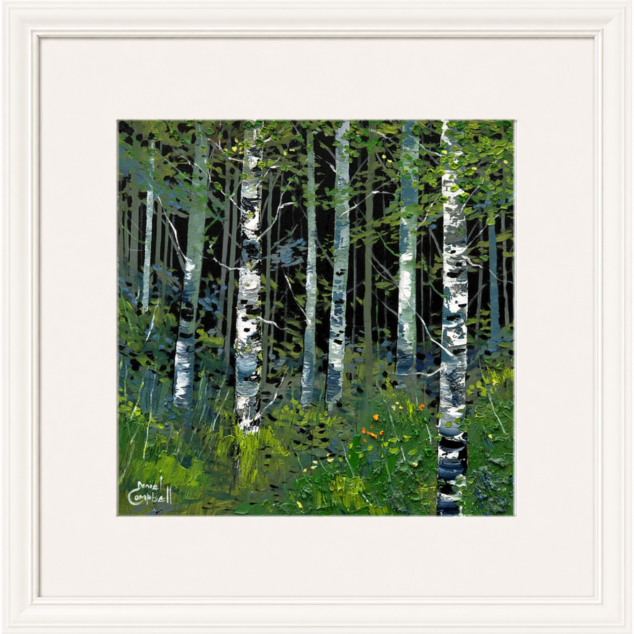 Silver Birches in Summer by Daniel Campbell