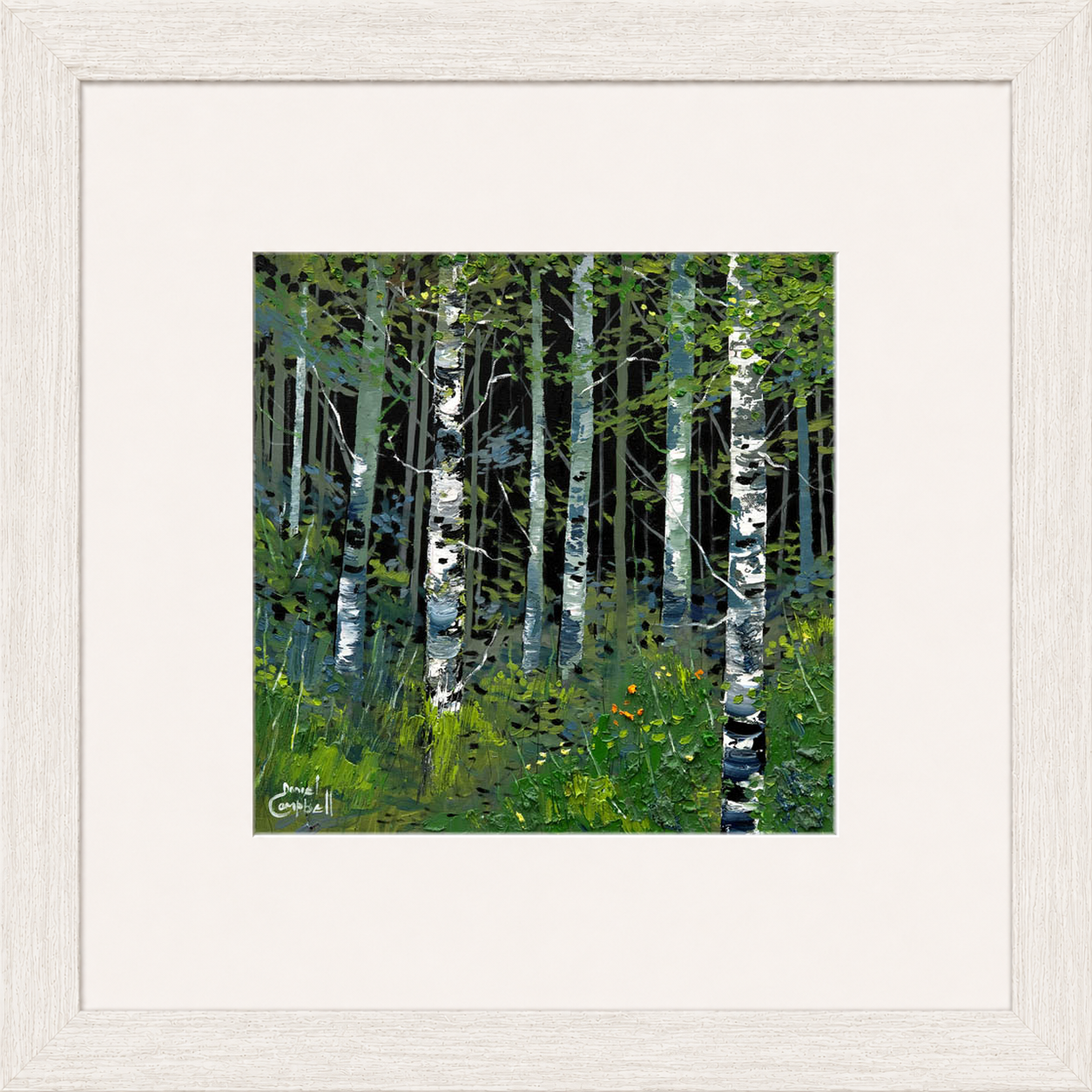 Silver Birches in Summer by Daniel Campbell