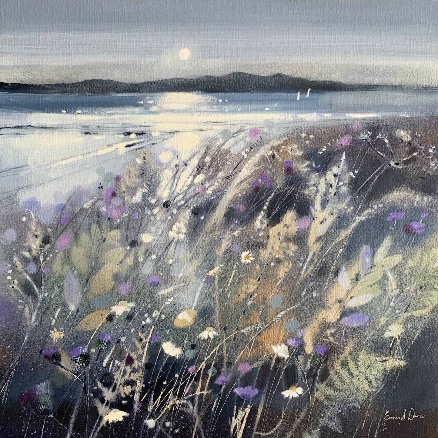Summer Fields and Arran by Emma S Davis