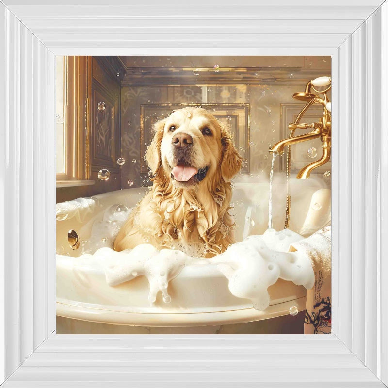 Golden Retriever Bath Time