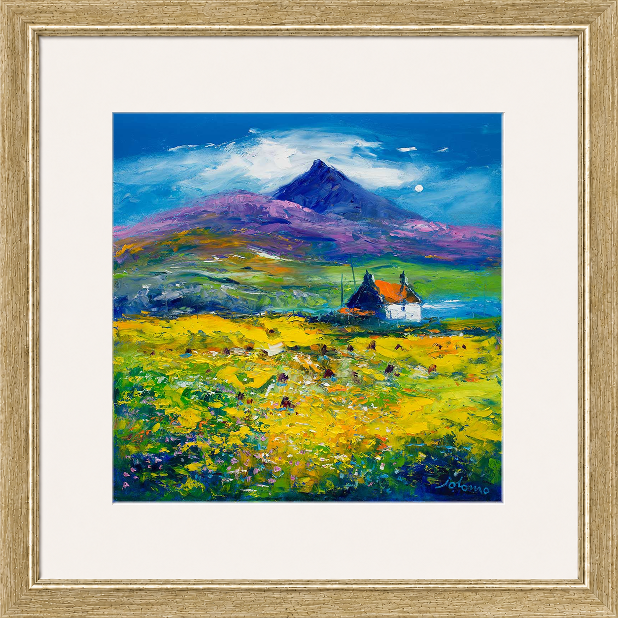 Wee Peat Stacks and Wild Machair Flowers, South Uist by Jolomo - floral artwork framed wall art print, product image 18