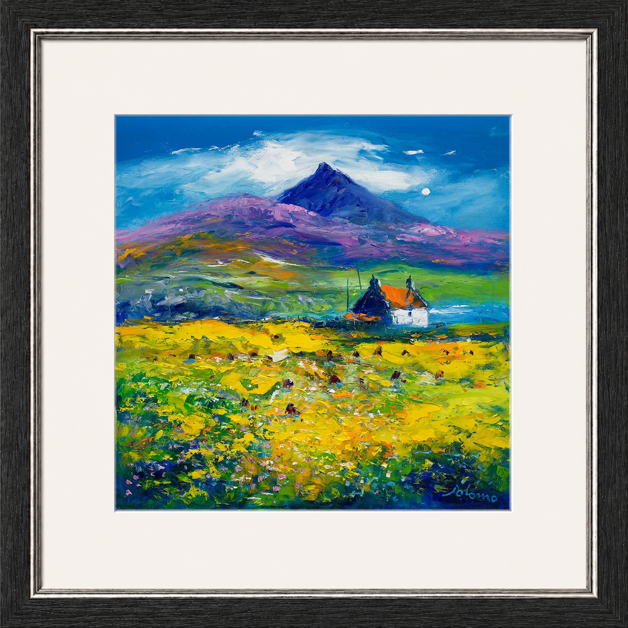 Wee Peat Stacks and Wild Machair Flowers, South Uist by Jolomo - floral artwork framed wall art print, product image 14