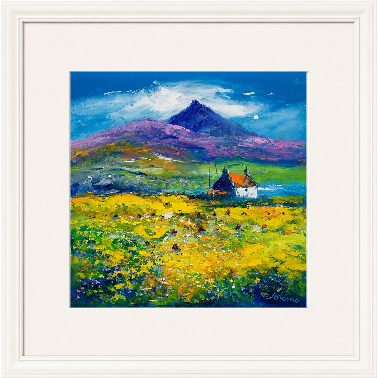 Wee Peat Stacks and Wild Machair Flowers, South Uist by Jolomo - floral artwork framed wall art print, product image 16