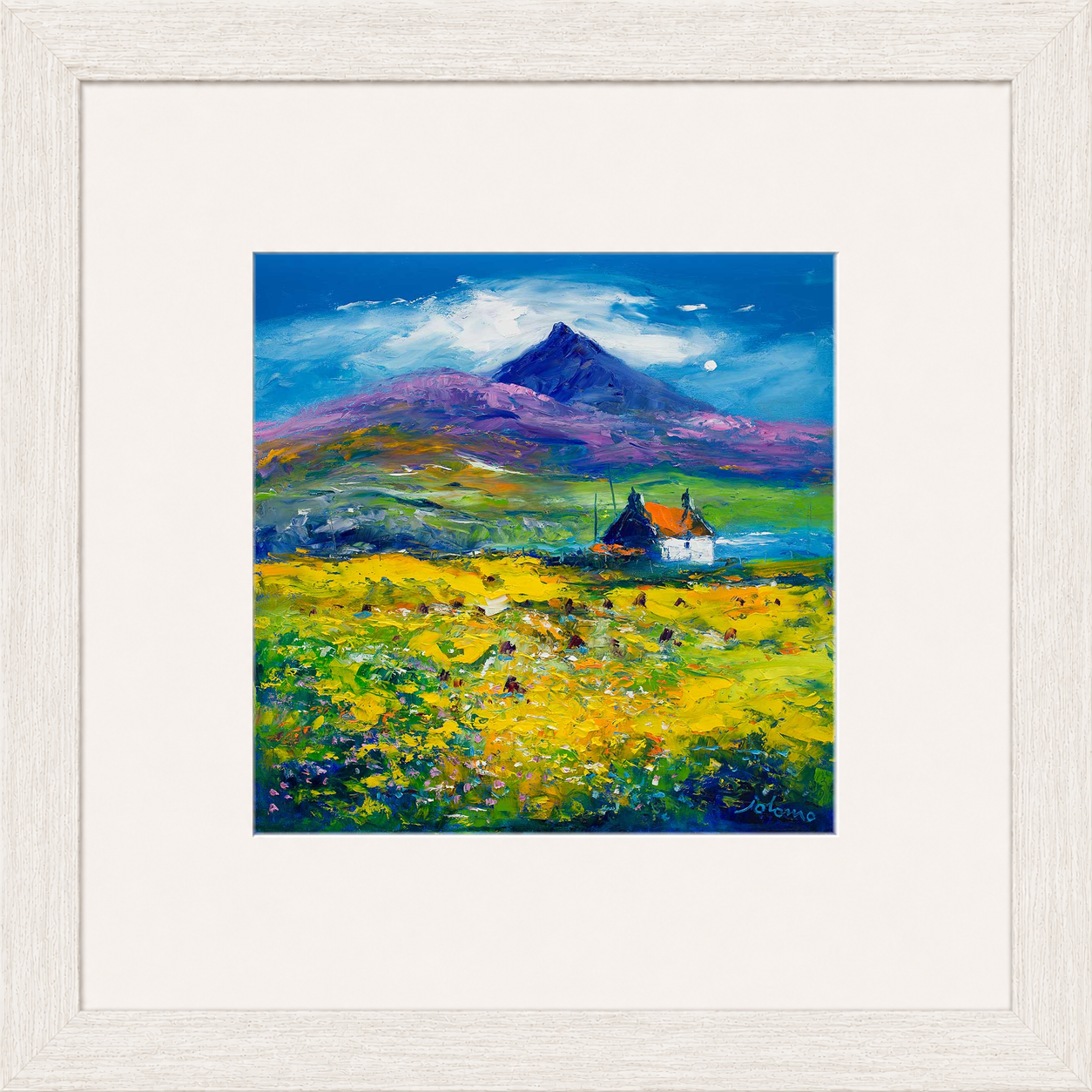 Wee Peat Stacks and Wild Machair Flowers, South Uist by Jolomo - floral artwork framed wall art print, product image 13