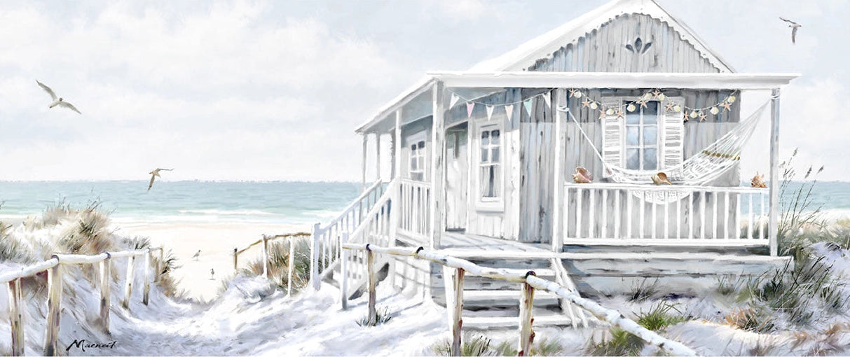 Beach house on a snowy day with seagulls and snow-covered ground.