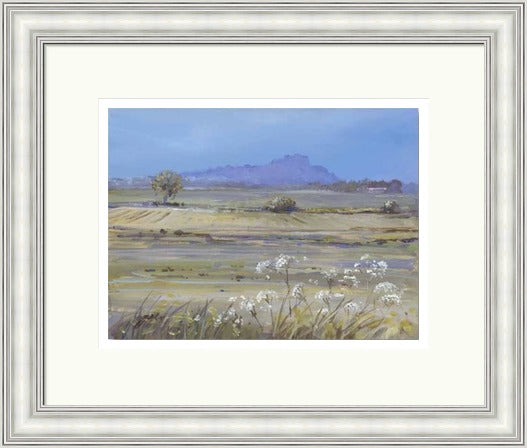 Stirling Castle from Bridge of Allan by Allison Young framed wall art print showing soft green fields, white wildflowers and the distant castle