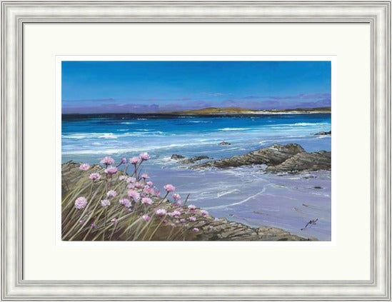 Sea Pinks, Tiree by Allison Young