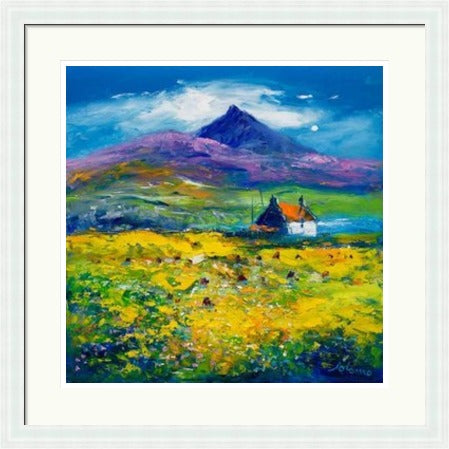 Wee Peat Stacks and Wild Machair Flowers, South Uist by John Lowrie Morrison (JOLOMO) Framed Art