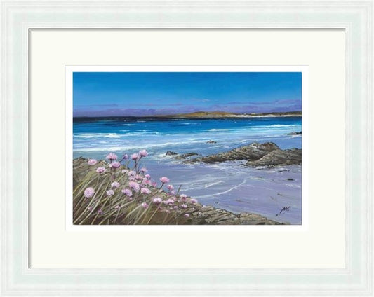 Sea Pinks, Tiree by Allison Young