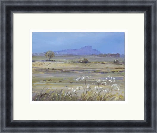 Stirling Castle from Bridge of Allan by Allison Young framed wall art print showing soft green fields, white wildflowers and the distant castle