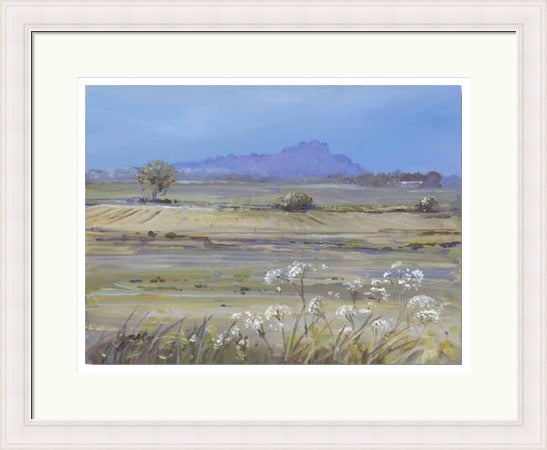 Stirling Castle from Bridge of Allan by Allison Young framed wall art print showing soft green fields, white wildflowers and the distant castle