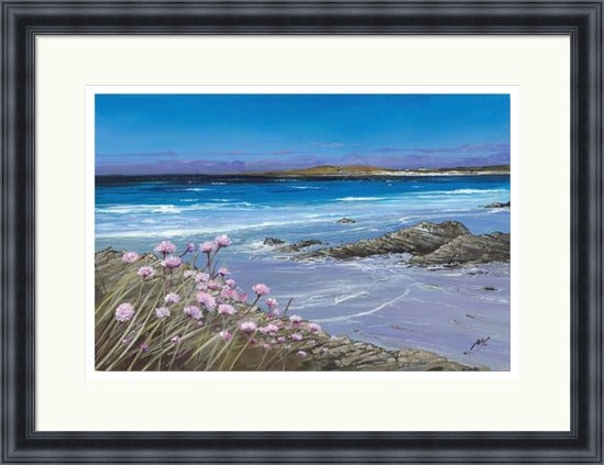 Sea Pinks, Tiree by Allison Young