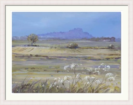 Stirling Castle from Bridge of Allan by Allison Young framed wall art print showing soft green fields, white wildflowers and the distant castle