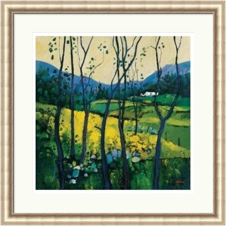 Springtime Galloway (Signed Limited Edition) by Davy Brown