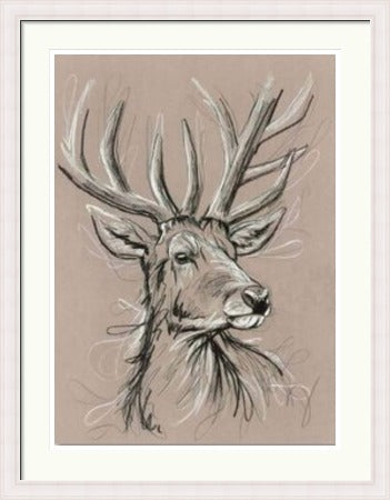 White Hart Stag Art Print by Tori Ratcliffe