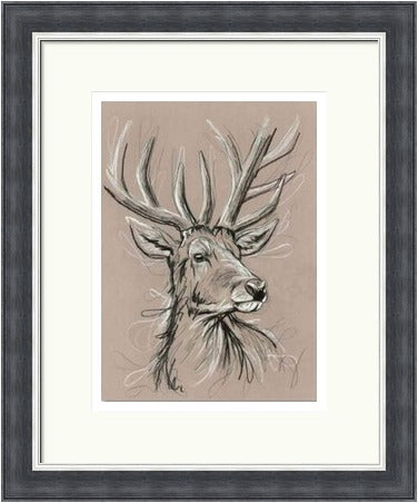 White Hart Stag Art Print by Tori Ratcliffe