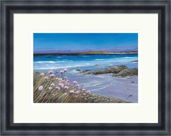 Sea Pinks, Tiree by Allison Young