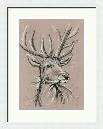 White Hart Stag Art Print by Tori Ratcliffe