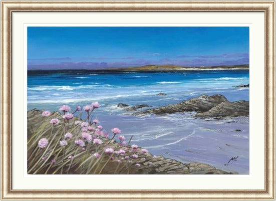 Sea Pinks, Tiree by Allison Young