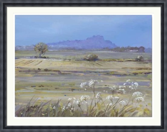 Stirling Castle from Bridge of Allan by Allison Young framed wall art print showing soft green fields, white wildflowers and the distant castle