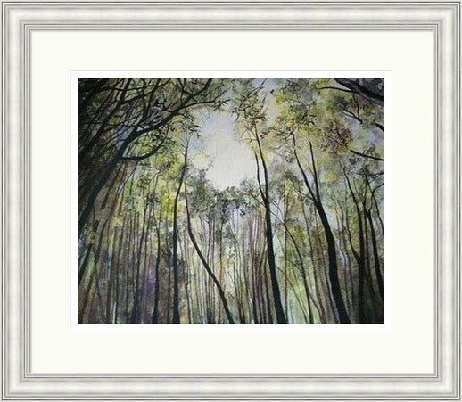 The Canopy by Sandra Moffat framed signed limited edition framed wall art print - alternate product image 4