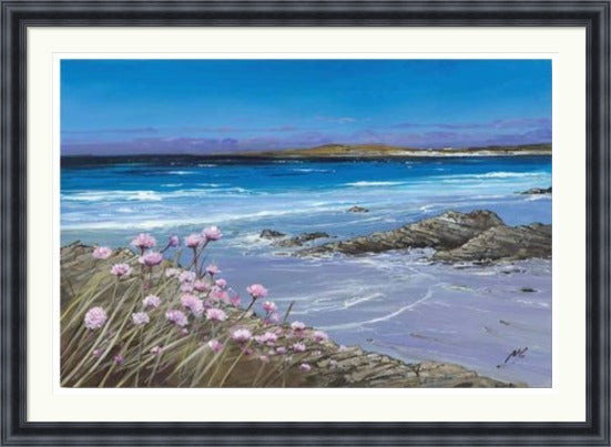 Sea Pinks, Tiree by Allison Young