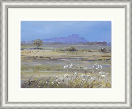 Stirling Castle from Bridge of Allan by Allison Young framed wall art print showing soft green fields, white wildflowers and the distant castle