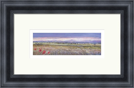 Sunset and Poppies, Back o'Hill Stirling by A Young