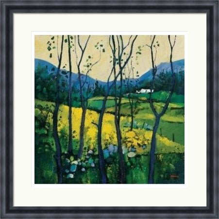 Springtime Galloway (Signed Limited Edition) by Davy Brown