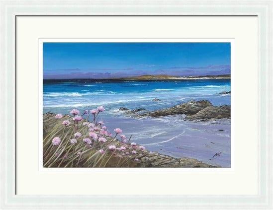 Sea Pinks, Tiree by Allison Young