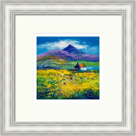 Wee Peat Stacks and Wild Machair Flowers, South Uist by John Lowrie Morrison (JOLOMO) Framed Art