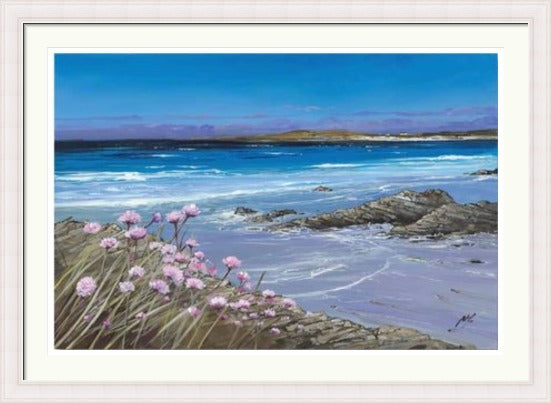 Sea Pinks, Tiree by Allison Young